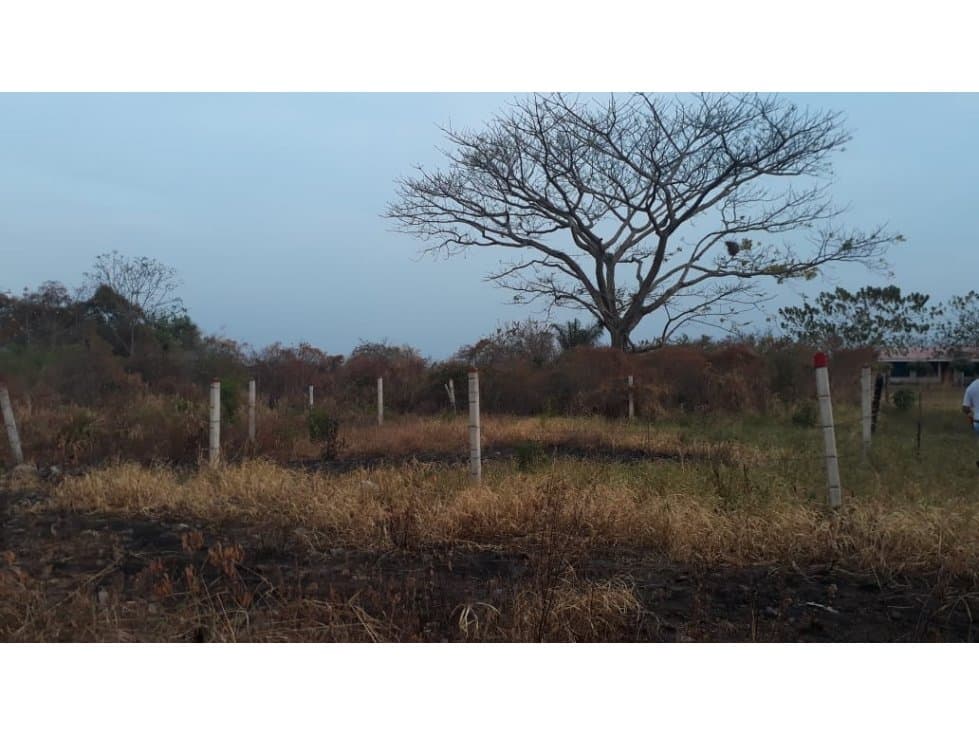 SE VENDEN LOTES BOSQUES DE GUARATAROS - 1