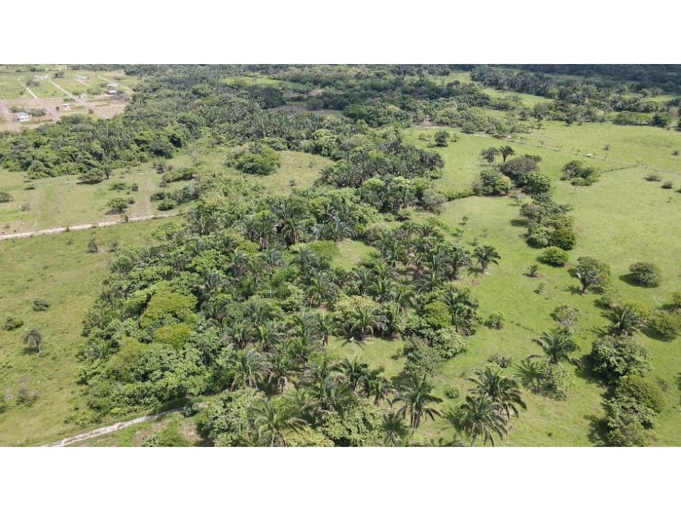 SE VENDE ESPECTACULAR LOTE UBICADO EN LA VEREDA EL PICÓN - 1