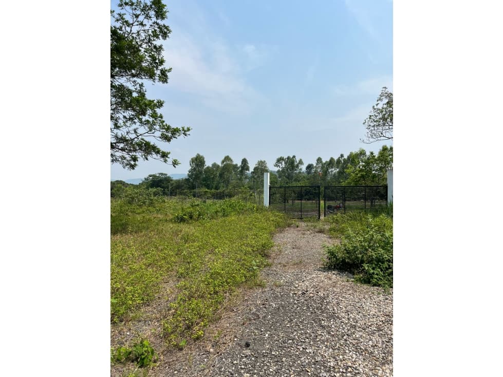 SE VENDE LOTE EN LA VEREDA PALOBAJITO - 1