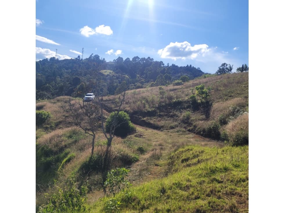 VENTA DE AMPLIO LOTE EN SAJONIA, RIONEGRO - 1