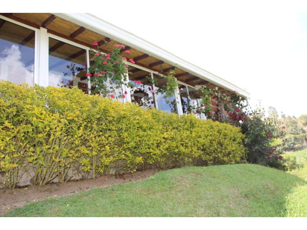 FINCA EN VENTA EN GUARNE - 1