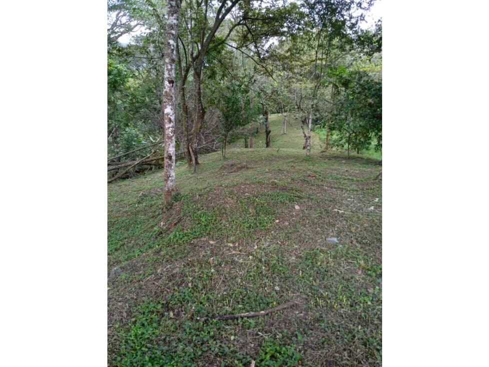 En venta lote en San Jerónimo, excelente ubicación - 1