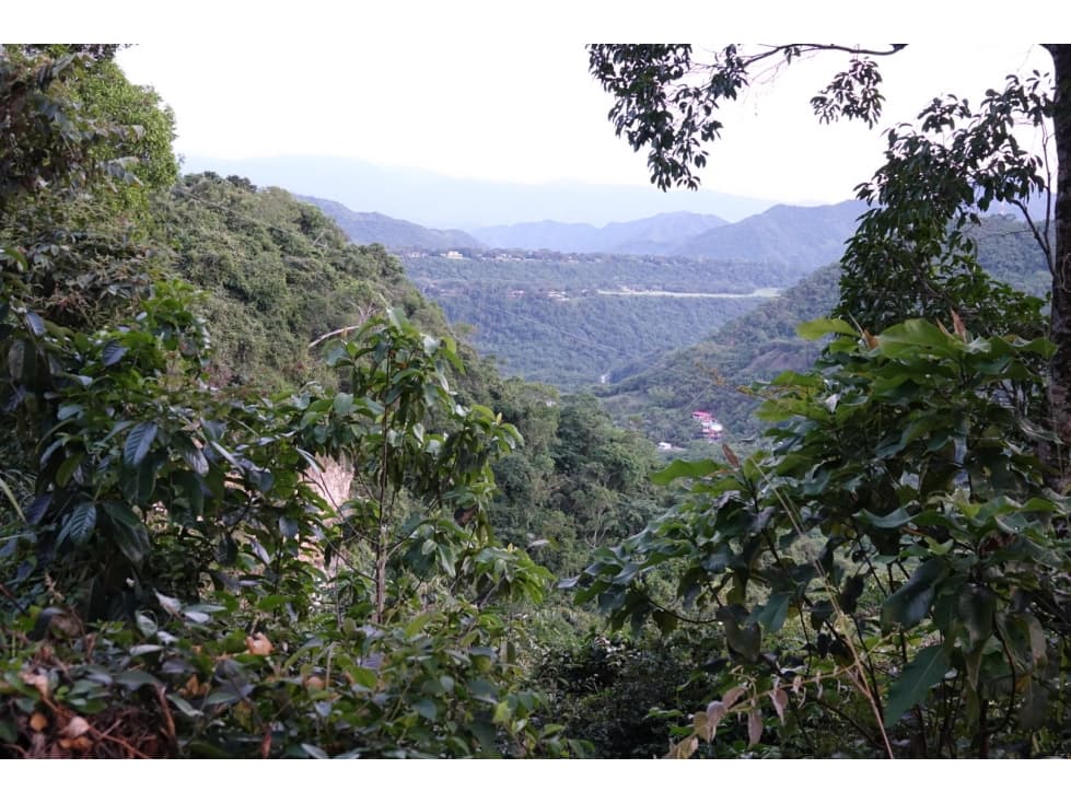 Parcela con vistas sensacionales para la casa de sus sueños - Lote 2 - 1