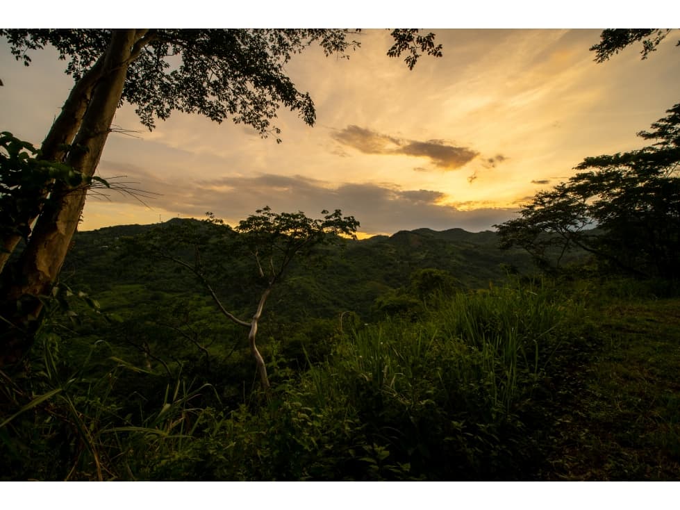 Parcela con vistas sensacionales para la casa de sus sueños - Lote 4 - 1