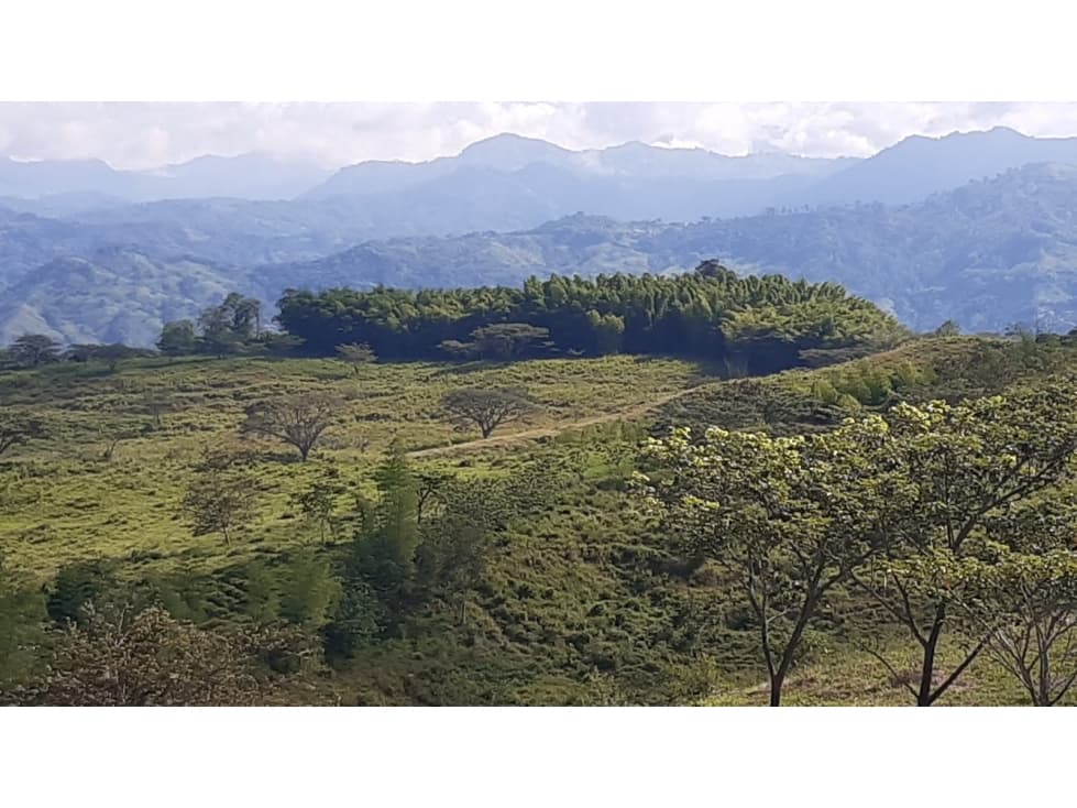 847 Acre Cattle Farm For Sale in Major Growth Area - 1