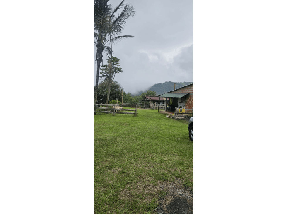 Cattle ranch in Filadelfia 93 cuadras $1,395 milliones - 1