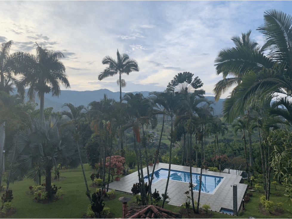 Gorgeous Finca 2.76 ha with 3 houses - 1