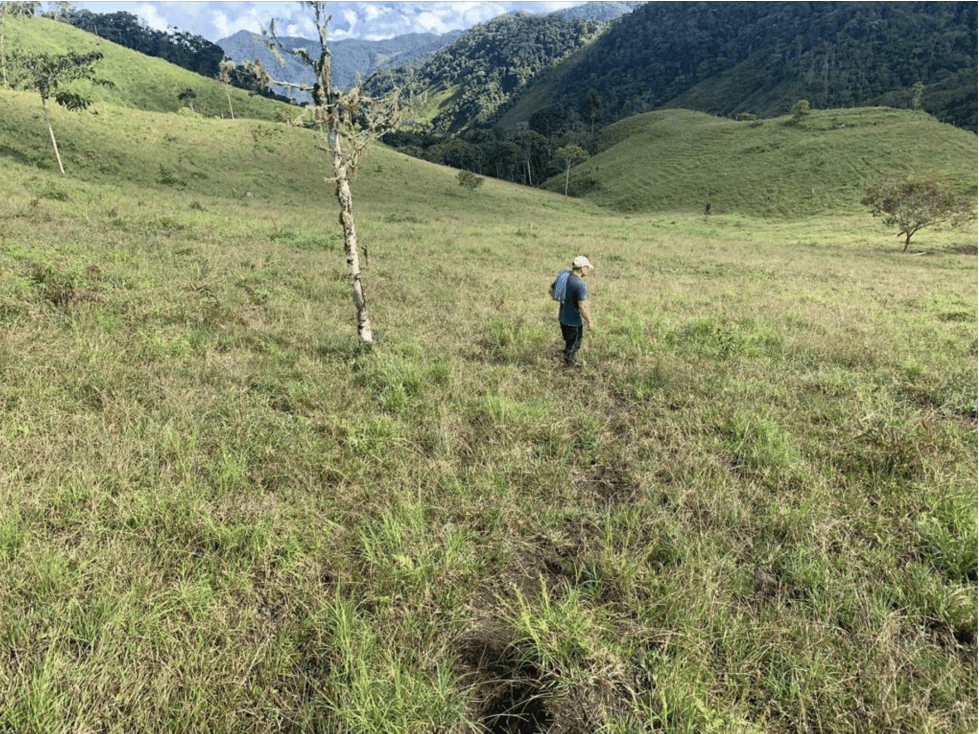 400 cuadras 1 hour from Pereira - 1