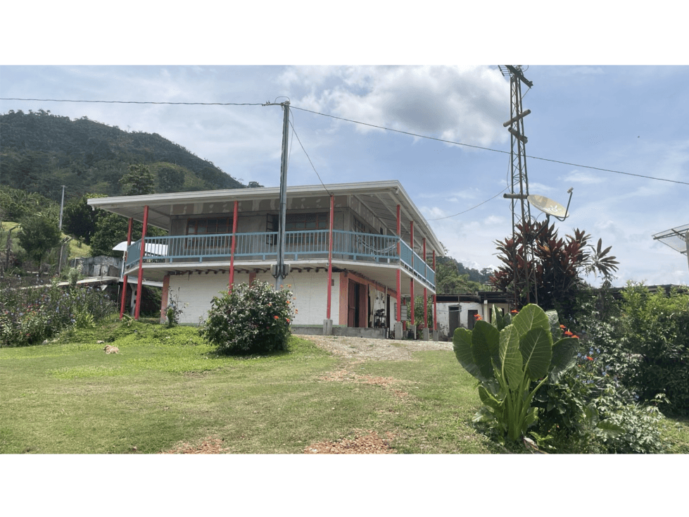 Mixed Use Farm near Manizales with Cacao ! Ask 325k - 1
