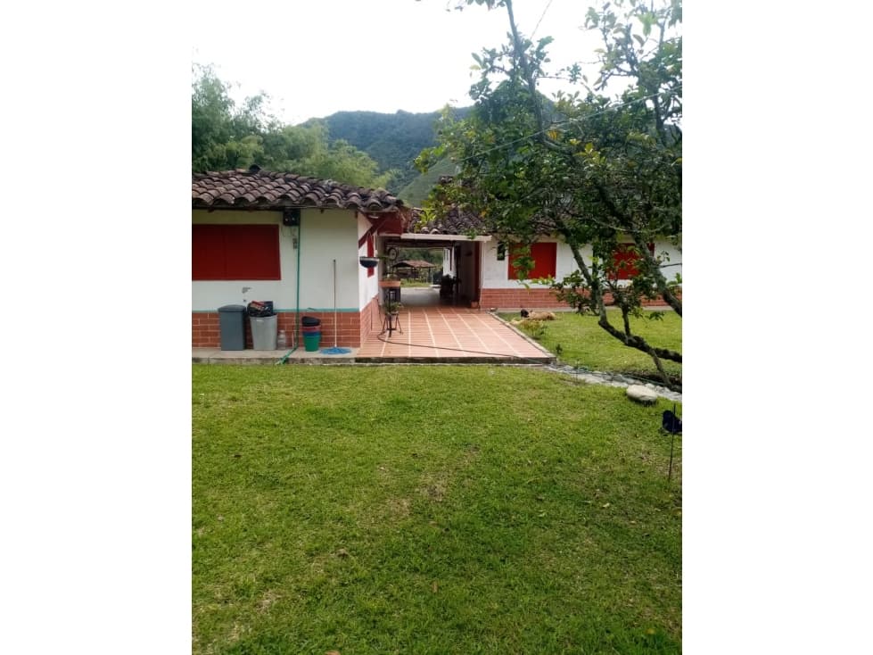 VENTA FINCA EN TAMESIS, SECTOR RIOFRIO - 1
