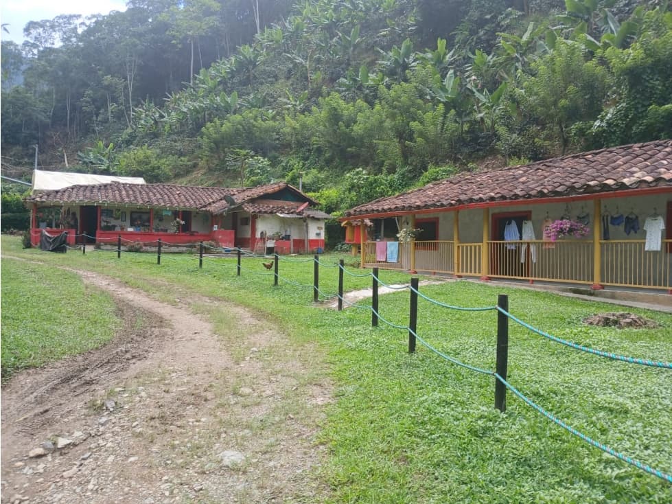 VENTA FINCA EN BETANIA, SECTOR MIRAFLORES - 1