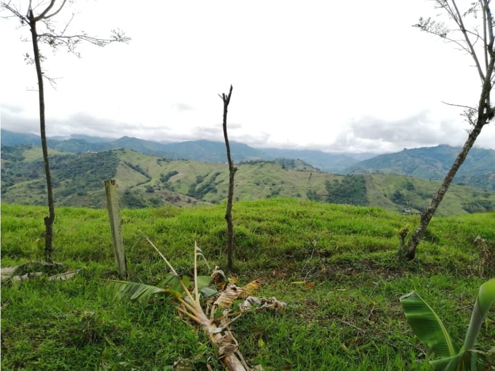 VENTA LOTE EN ANDES, SECTOR ECOPARQUE - 1