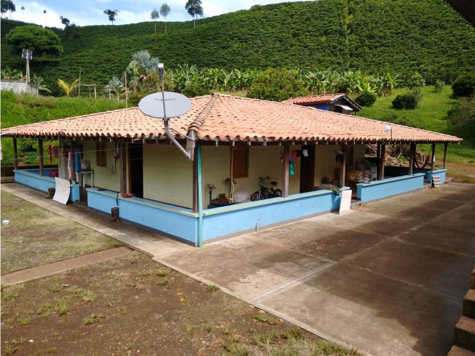 VENTA DE FINCA CAFETERA EN PUEBLORRICO, SECTOR CORINTO - 1