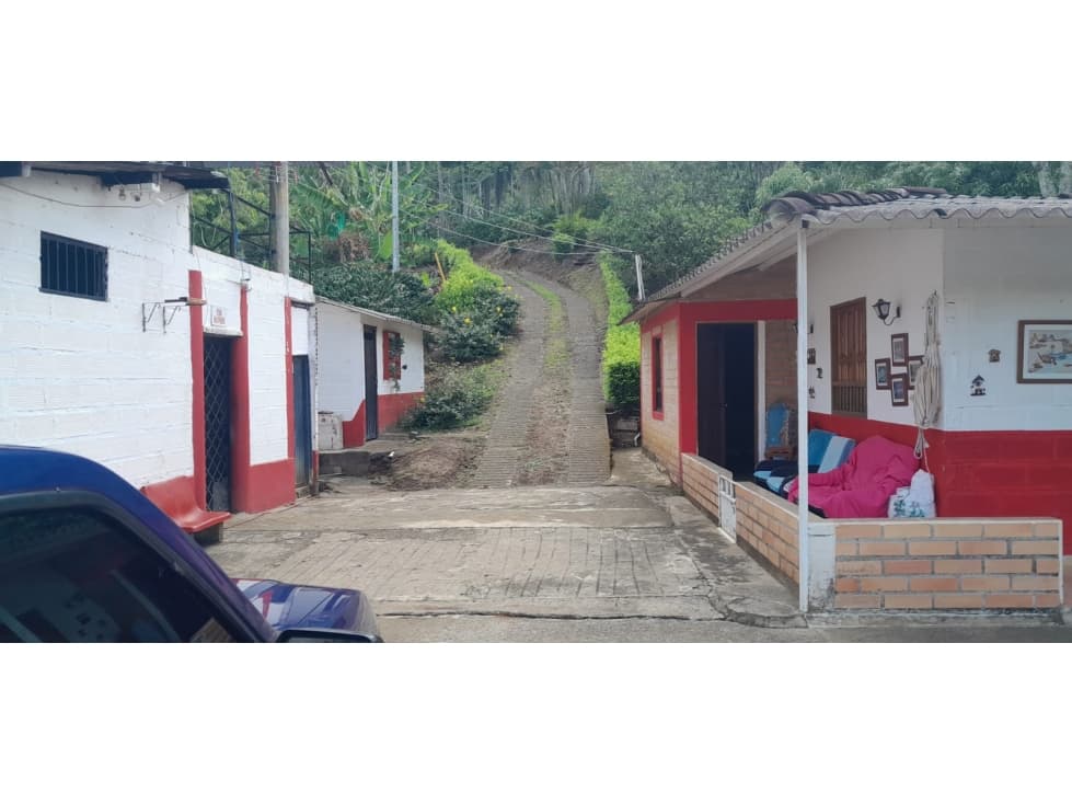 VENTA FINCA CAFETERA EN PUEBLORRICO, SECTOR GALILEA - 1