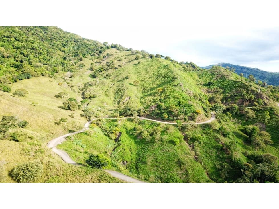 VENDO FINCA DE 85 HECTAREAS EN BOCHALEMA - 1