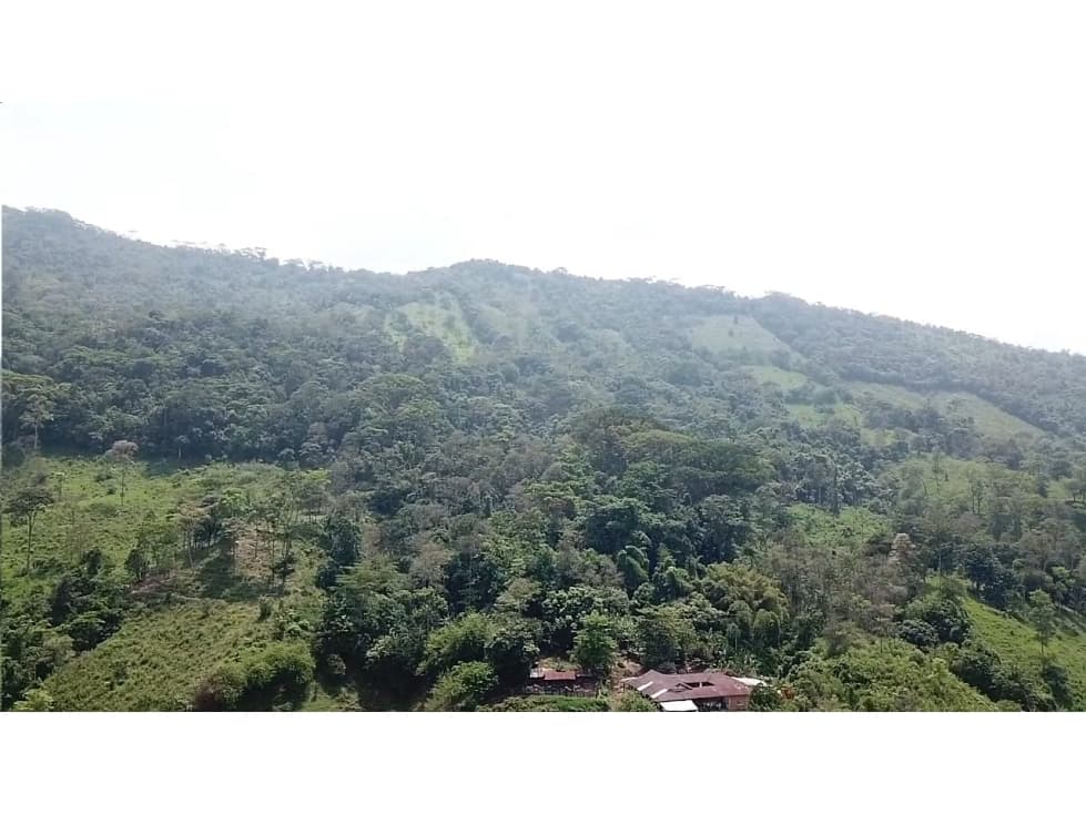 VENDO FINCA EN DURANIA - 1