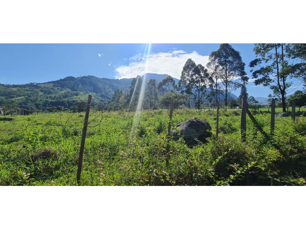 VENDO LOTE DE OPORTUNIDAD EN CHINACOTA - 1