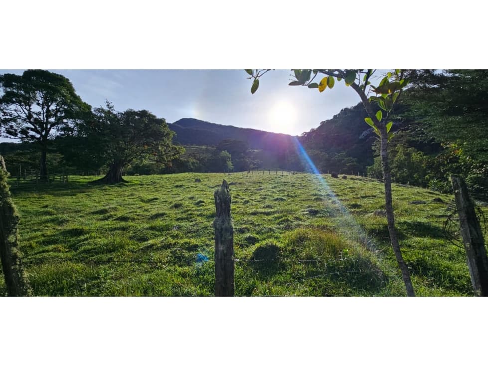 VENDO LOTE EN ISCALÁ SUR DE CHINACOTA - 1