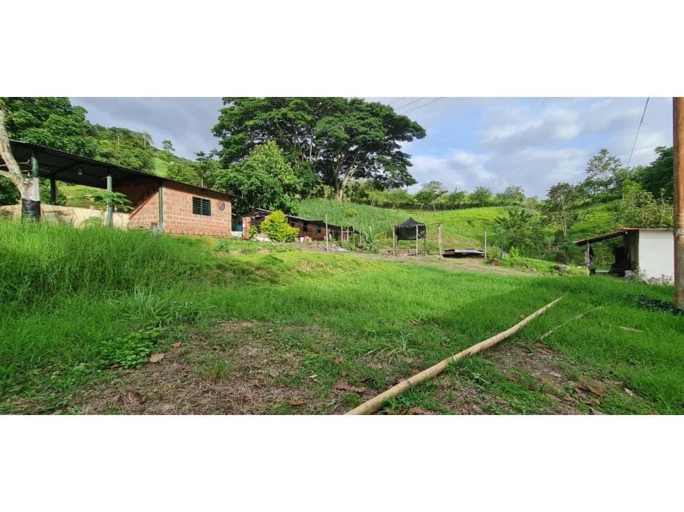 VENDO FINCA CON AGUAS TERMALES EN CHINACOTA - 1