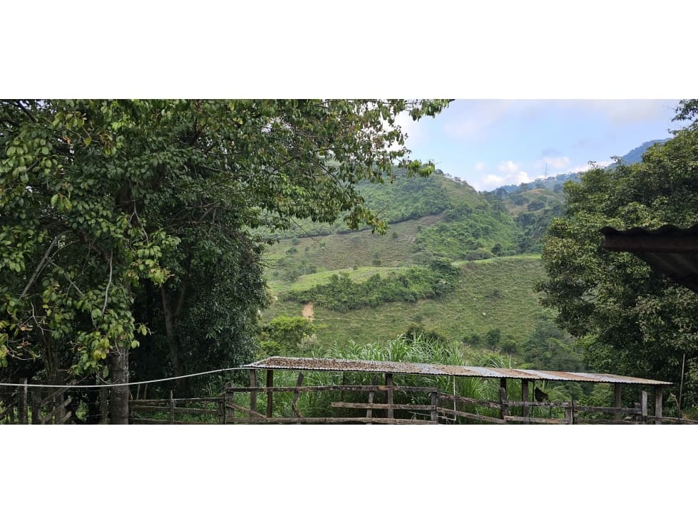 VENDO FINCA CERCA DE DURANIA - 1