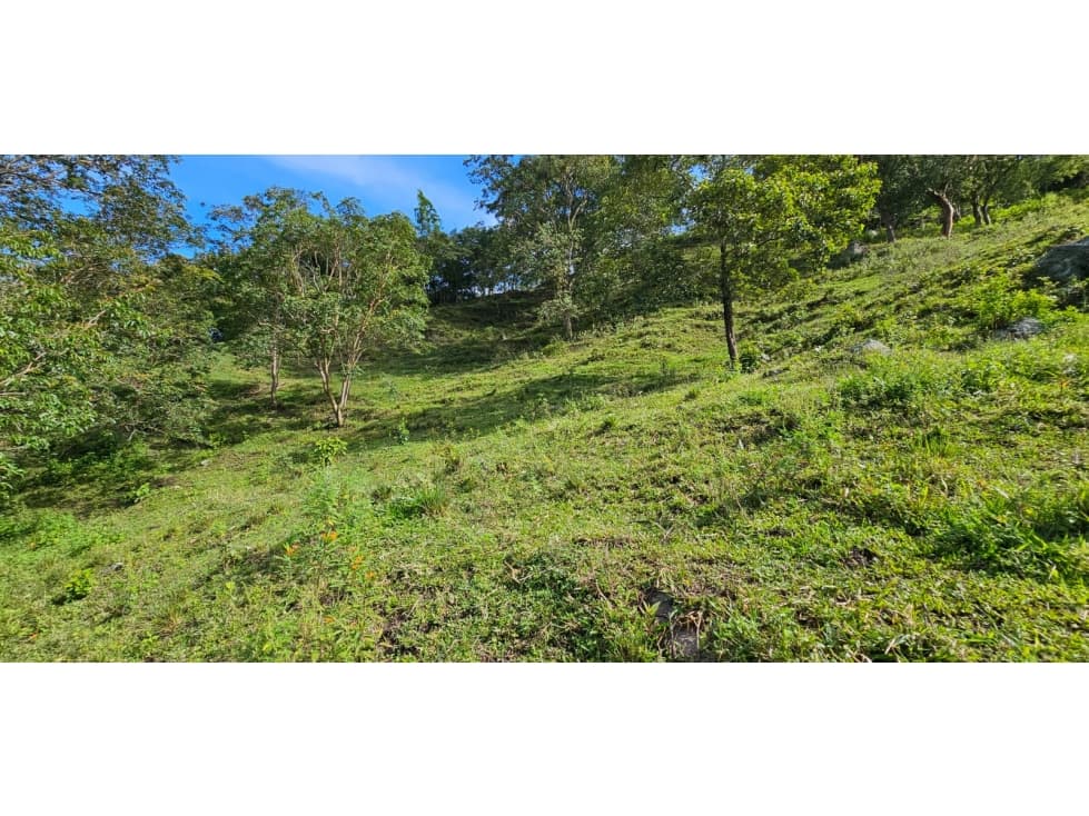 VENDO FINCA ECONOMICA EN CHINACOTA - 1