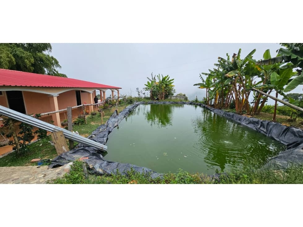 VENDO FINCA EN BOCHALEMA - 1