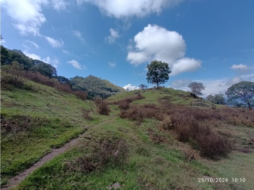 VENDO FINCA / LOTE GANADERA DE 20 CUADRAS CERCA A MARSELLA EN FREDONIA - 1