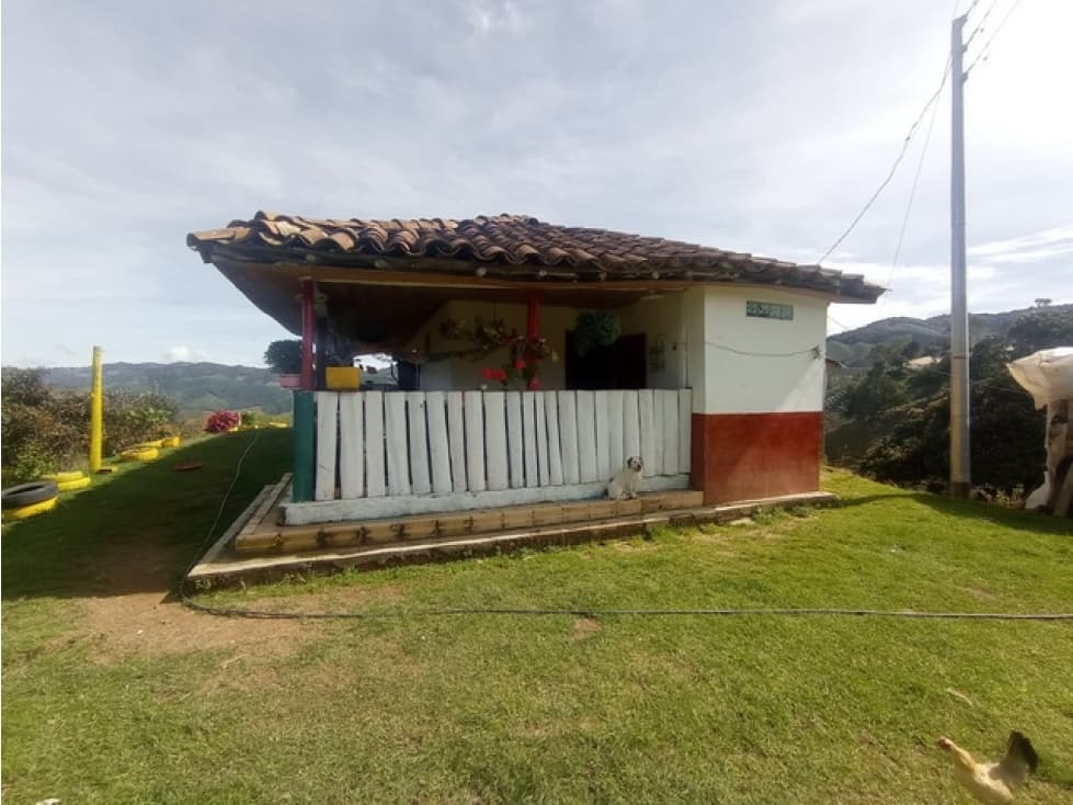 VENDO FINCA EN ABEJORRAL VEREDA LA CATALINA DE 10,56 HECTÁREAS - 1