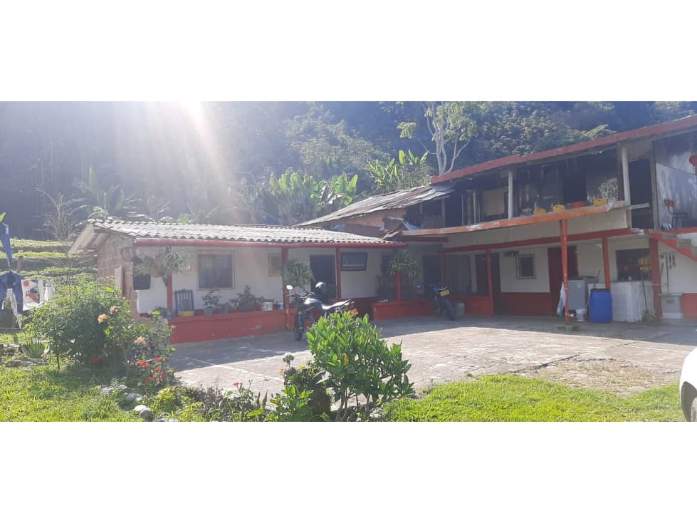 VENDO FINCA PRODUCTIVA DE 25 CUADRAS EN PUEBLORRICO ANTIOQUIA - 1