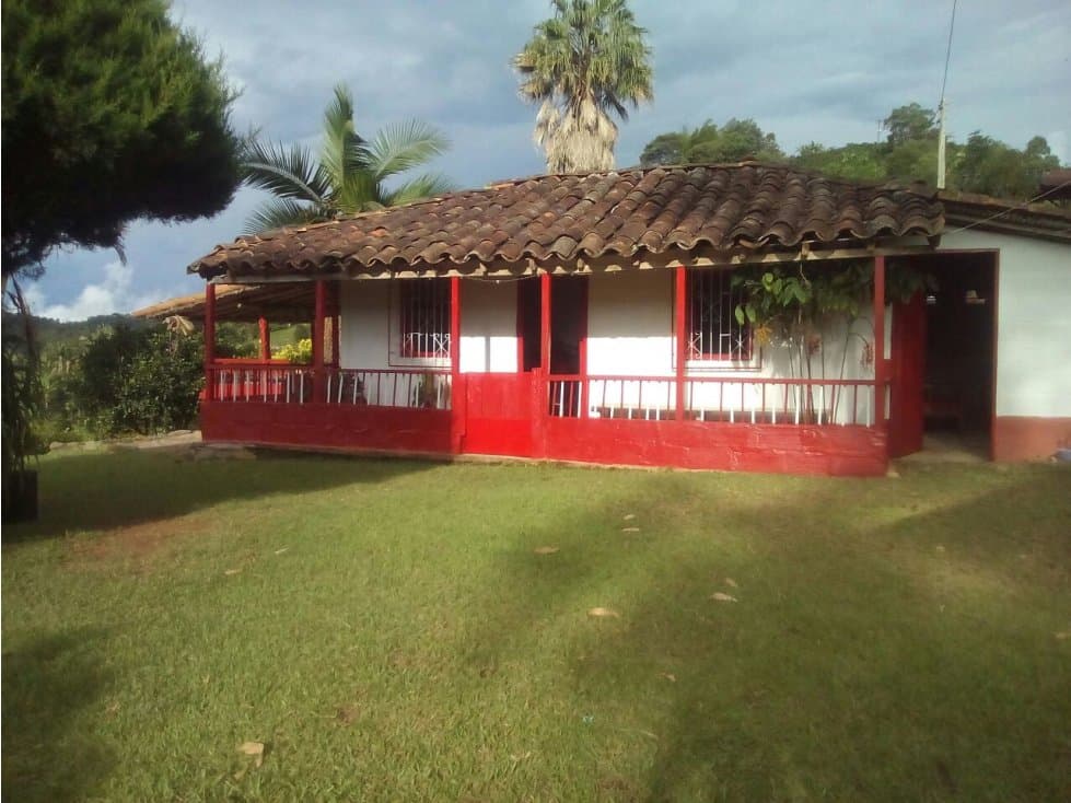 VENDO FINCA PRODUCTIVA DE 6.5 CUADRAS EN JERICÓ A PRECIO INCREÍBLE - 1
