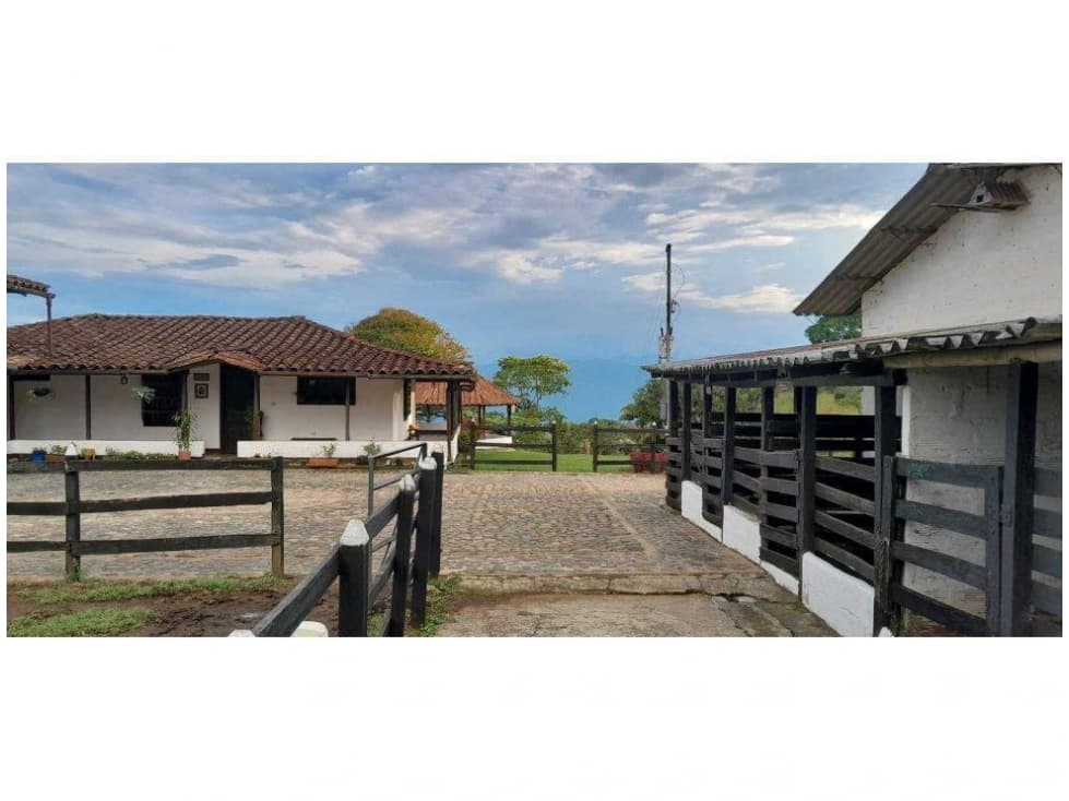 VENDO FINCA DE 15 CUADRAS EN FREDONIA PARA CULTIVO Y/O GANADERÍA - 1