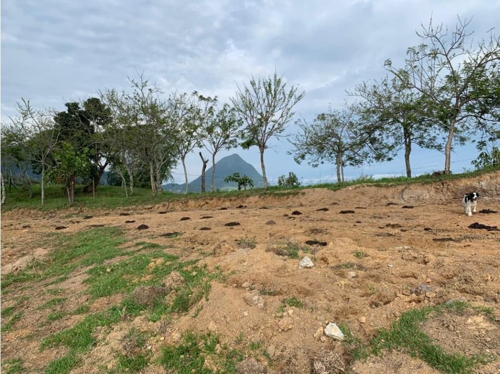 VENDO LOTE DE 6,75 CUADRAS EN VENECIA VEREDA CON VISTA A CERRO TUSA - 1