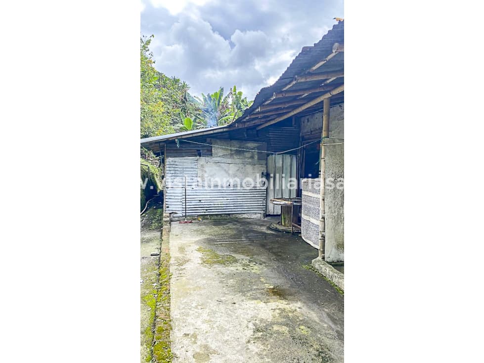 Venta Finca Chinchina, Caldas - 1