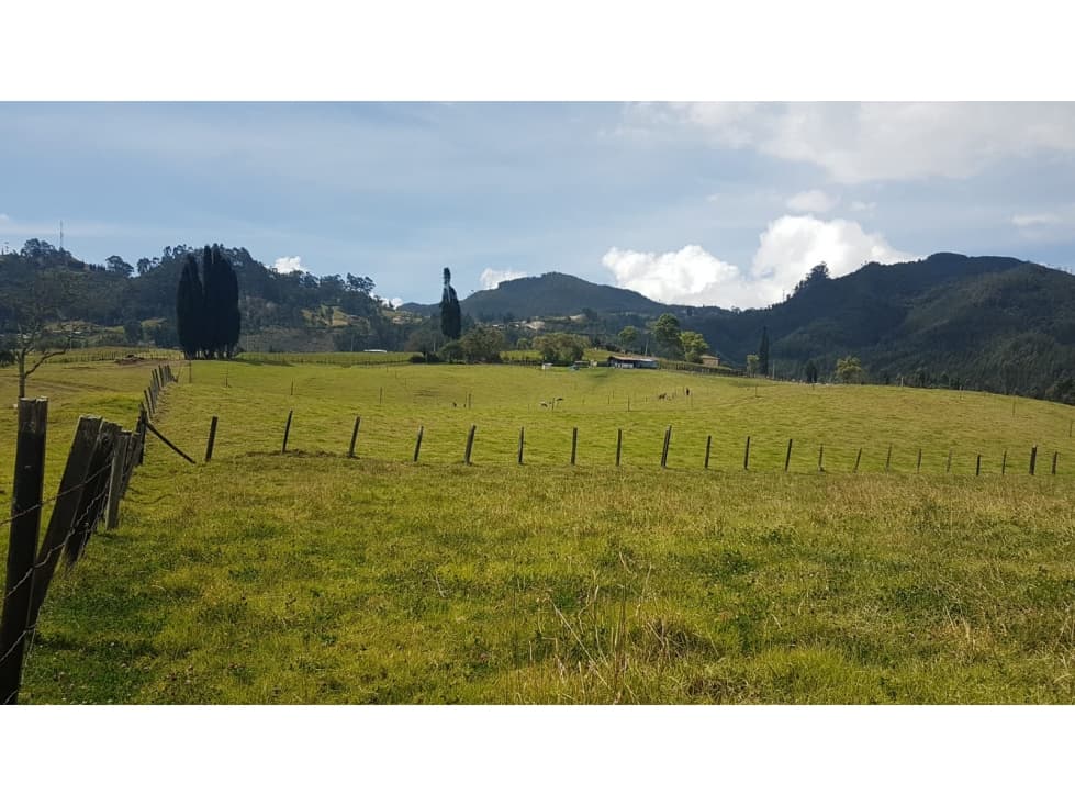LOTE EN ZIPAQUIRA , SOBRE LA CATEDRAL DE SAL ,INVERSION ,TURISMO... - 1
