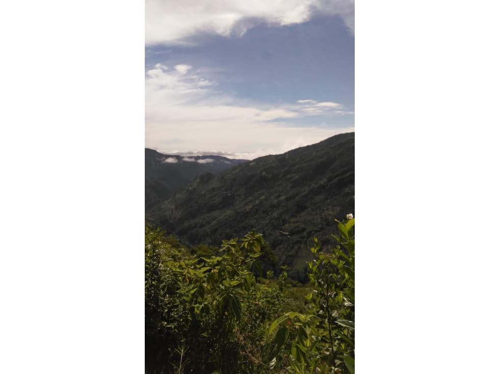 FINCA , CERCA AL LIBANO " EL BERLIN " - 1