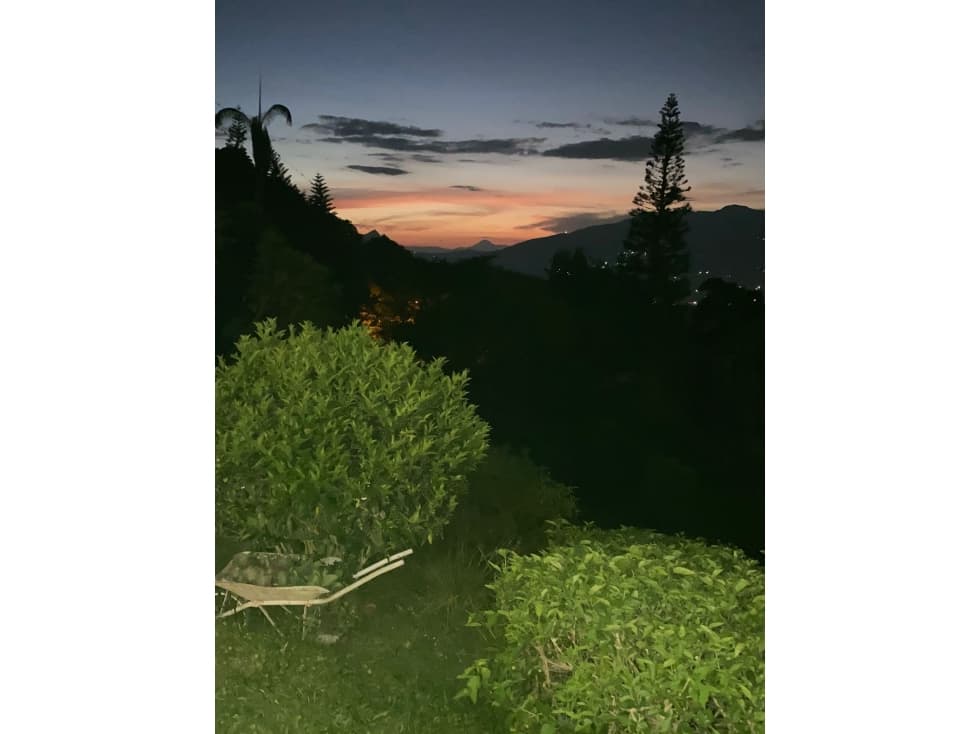 Oportunidad de inversión venta de finca cafetera en funcionamiento - 1