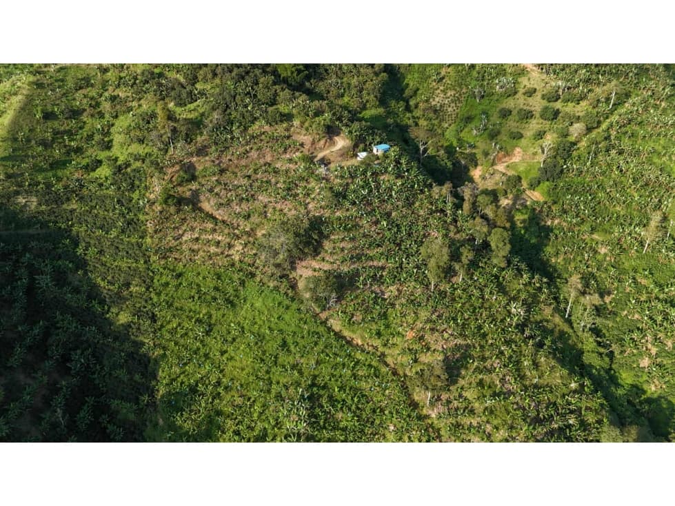 LOTE EN VENTA MUNICIPIO DE BELALCAZAR - 1