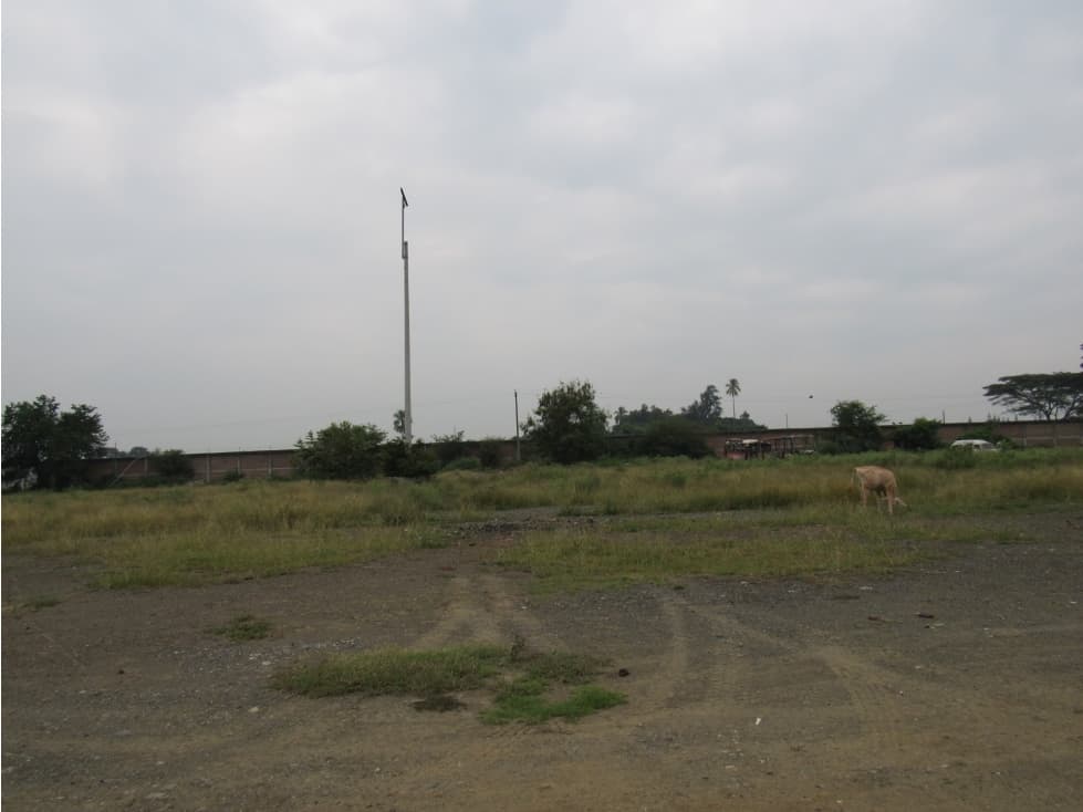 VENTA LOTE 30,000 MT2 LA NUBIA CANDELARIA VALLE - 1