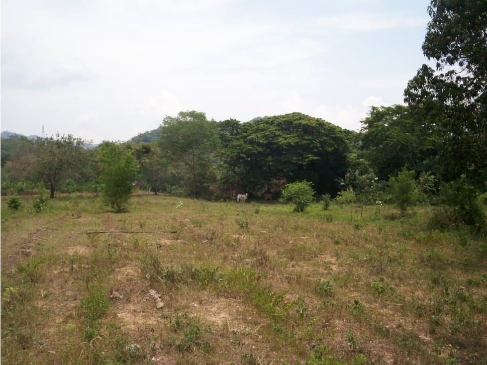 VENTA LOTE PARA DESARROLLO EN CARMEN DE APICALA - 1