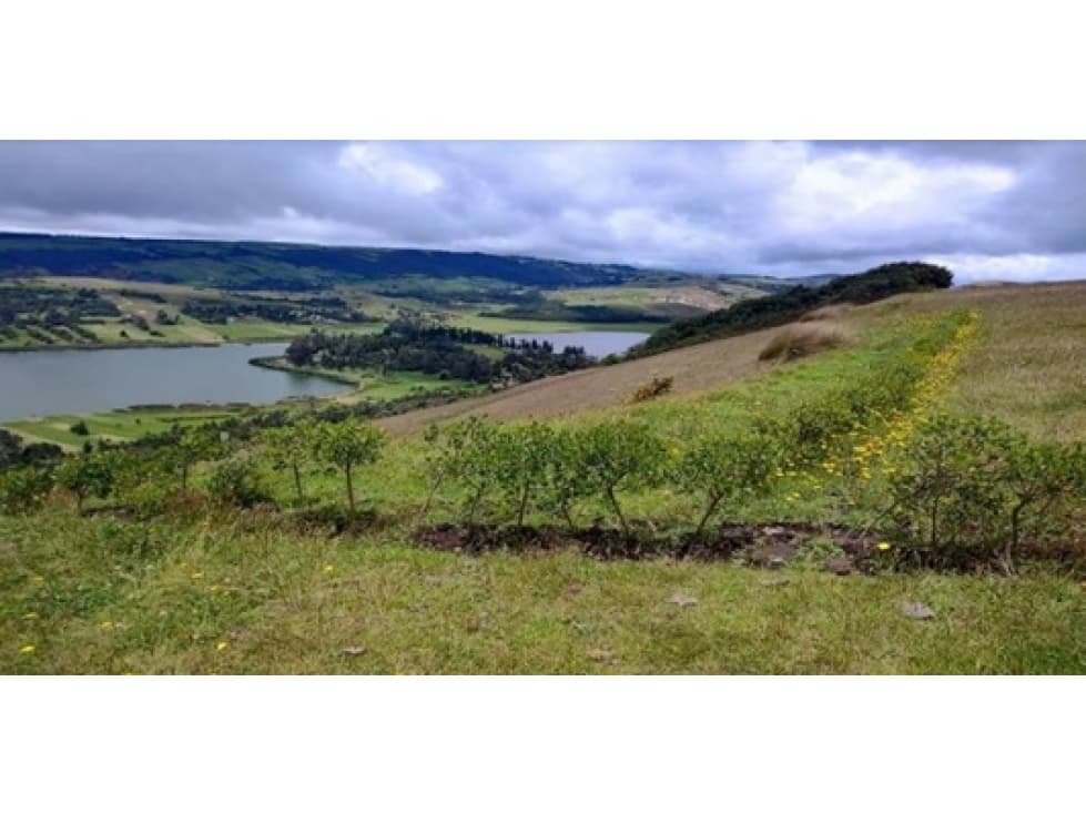 VENTA LOTE EN SUESCA - 1