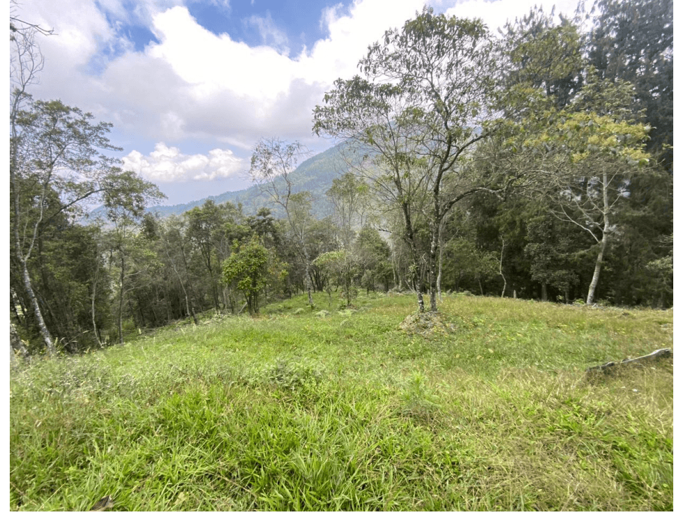 Lotes en parcelacion- La miel -Caldas - 1