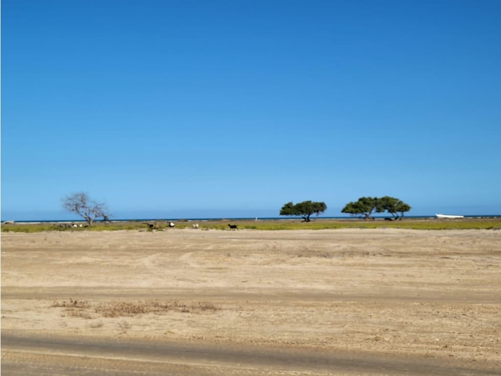 Venta de lote frente al mar en Manaure Guajira - 1