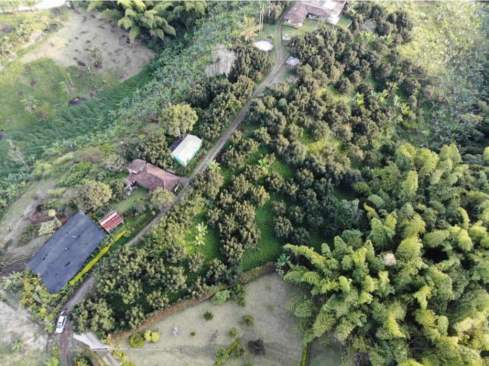 VENTA LOTE EN SANTÁGUEDA PALESTINA 2.500m² | LOTES BARATOS - 1