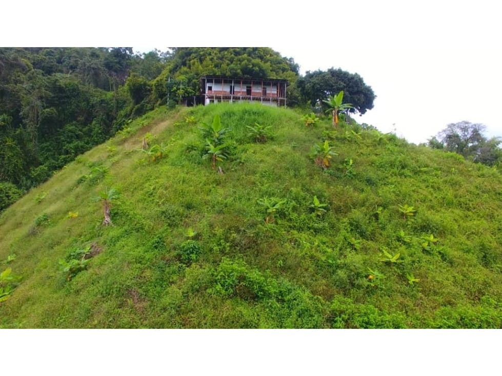 VENTA FINCA VEREDA TABOR SAN PEREGRINO | FINCA EN MANIZALES - 1