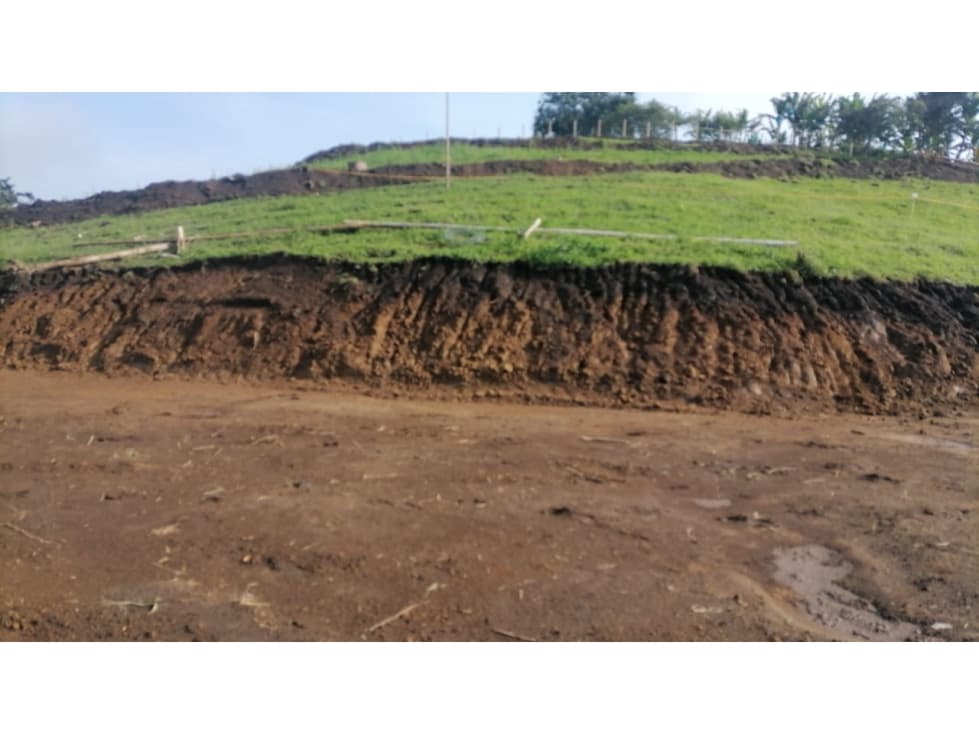 VENTA LOTE SANTÁGUEDA PALESTINA 2500m² | LOTE EN ZONA CAMPESTRE - 1