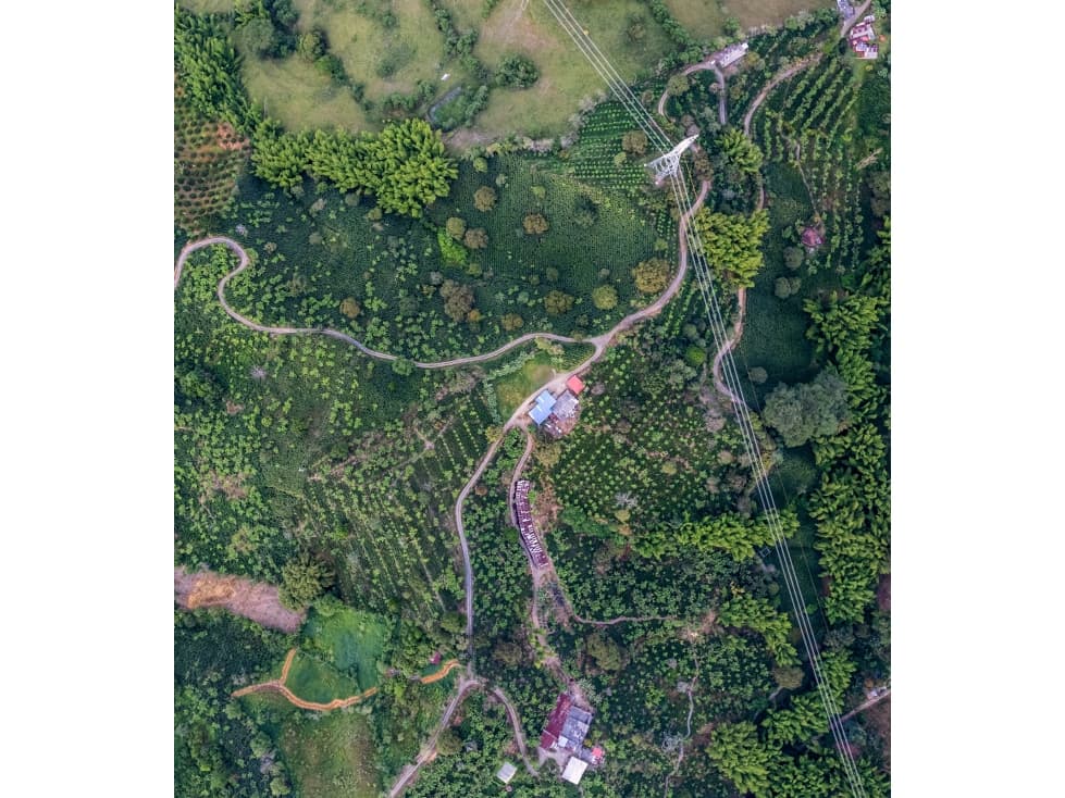 VENTA FINCA Km 41 MANIZALES 13 hectáreas | FINCA PRODUCTIVA - 1