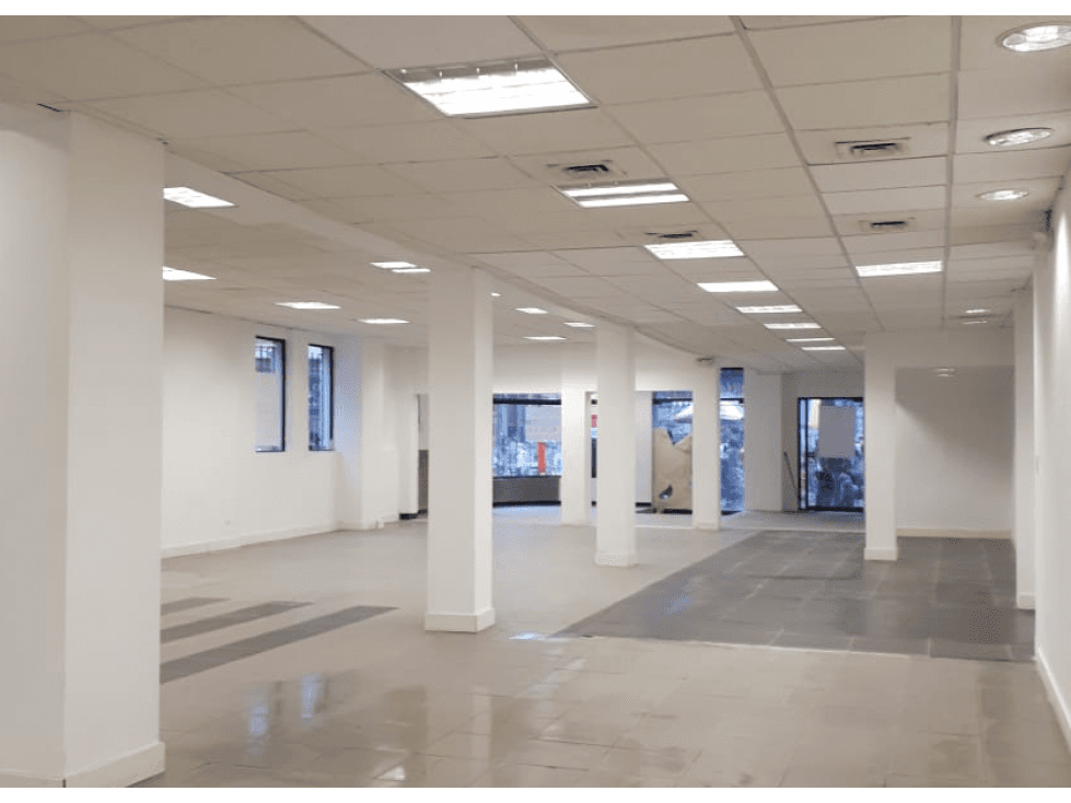 VENTA DE EDIFICIO CON LOCALES EN EL CENTRO DE MANIZALES - 1