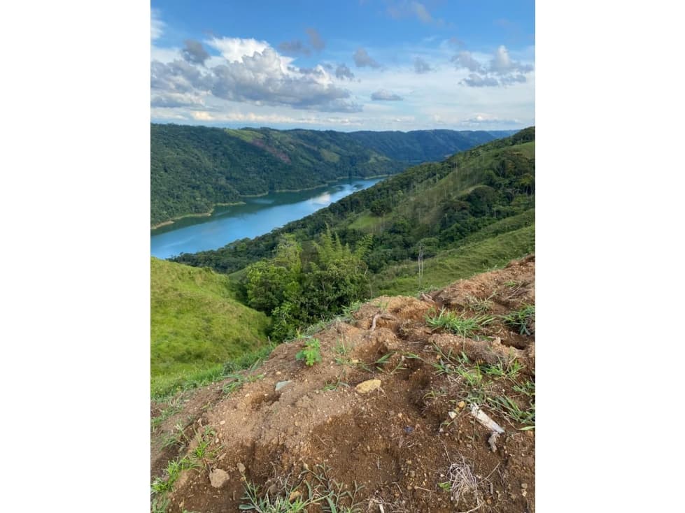 VENTA LOTE EN NORCASIA, CALDAS 10.000m² | LOTES EN VENTA EN NORCASIA - 1