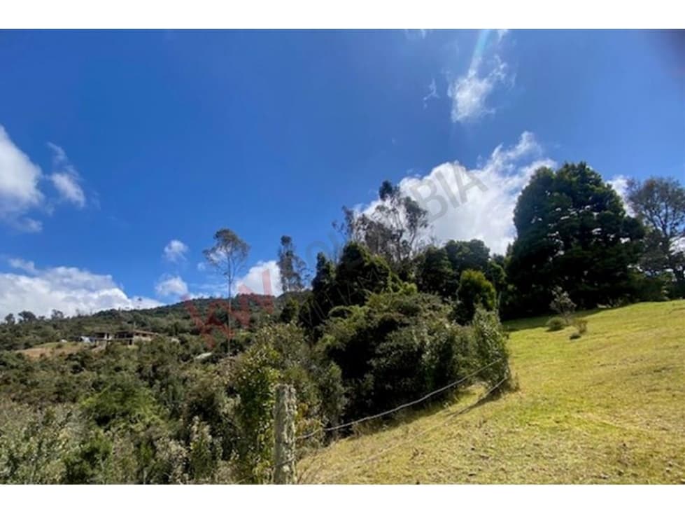Venta, Lote en sector El Verjon, La Calera - 1