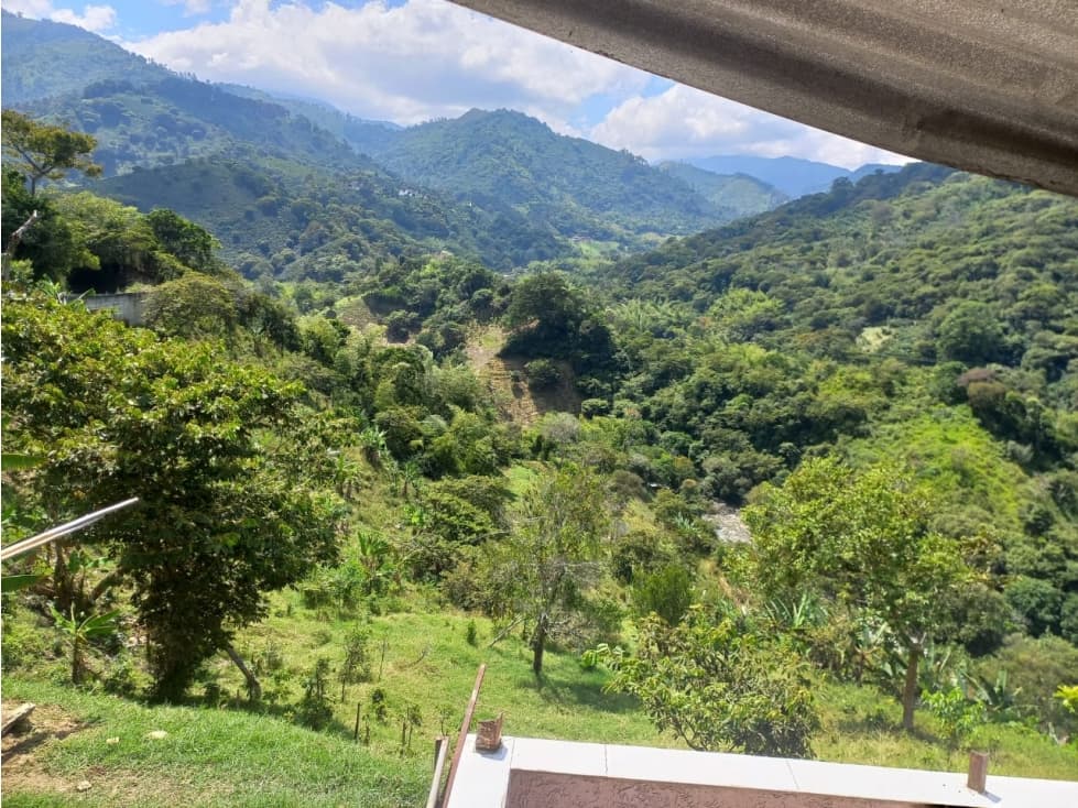 VENTA FINCA EN GÉNOVA QUINDÍO - 1